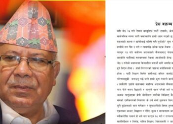 वार्ता र सहमतिको बाटो अवलम्बन गरिए मात्र सकारात्मक परिणाम आउँछः नेता नेपाल