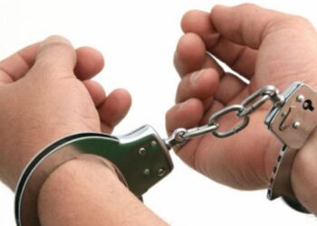 टिपरमा लुकाइछिपाई जङ्गली बँदेलको मासु लैजाँदै गरेका तीन पक्राउ