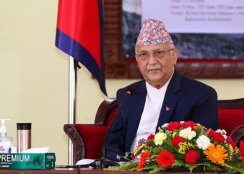 आफूलाई लोकतन्त्रवादी भन्नेहरू नै अहिले राष्ट्रपतिमाथि टिका-टिप्पणी गर्ने काममा सक्रिय छन्: प्रम ओली