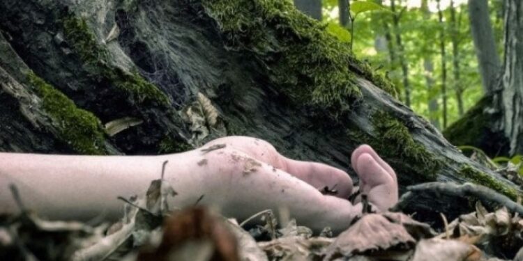 भीरबाट लडेर वडा सदस्यको मृत्यु