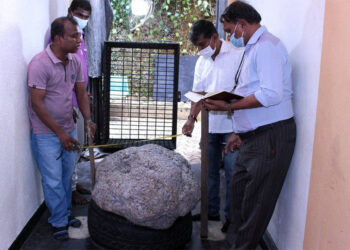 इनार खन्ने क्रममा बहुमूल्य पत्थर नीलम फेला