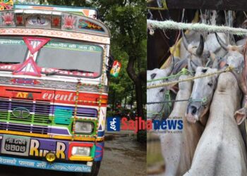 ट्रकमा गोरुलोड गरी लैजाने क्रममा ३ जना पक्राउ