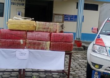 हेटौँडाबाट १२१ किलो गाँजासहित गाडी नियन्त्रणमा