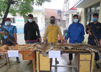 बाघको छाला, खप्पर र हड्डीसहित तीन जना पक्राउ