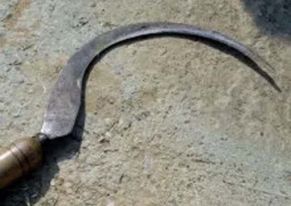 श्रीमतीले हँसिया प्रहार गरी श्रीमानको हत्या