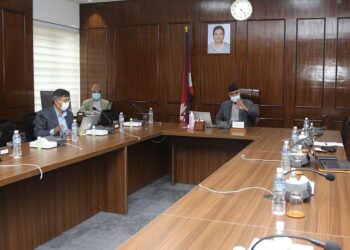 दल विभाजनको अध्यादेश आज वा भोलि सार्वजनिक हुने