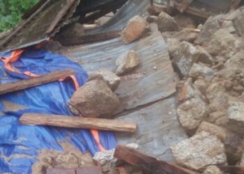 पाल्पामा घर भत्किँदा १० वर्षीया बालिकाको मृत्यु