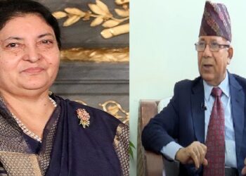 राष्ट्रपति भण्डारी र माधव नेपालबीच भेटवार्ता