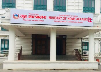 ५ सय ३४ जनाको कैद मिनाह गर्न सिफारिस