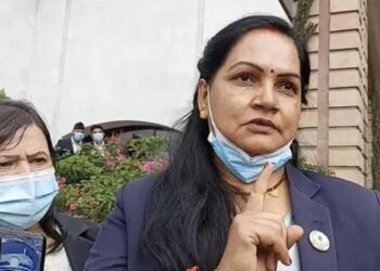 मौका पाएँ भने सभामुखको टाउकोमा माइकले हान्छु : एमाले सांसद झा