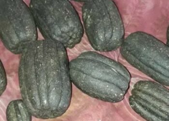 ५ किलो चरेशसहित एकजना पक्राउ