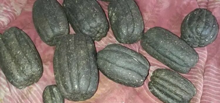 ५ किलो चरेशसहित एकजना पक्राउ