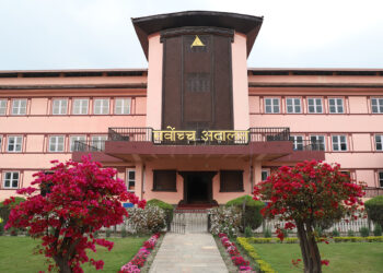 कुलमानको नियुक्तिको मुद्दामा अन्तरिम आदेश भएन