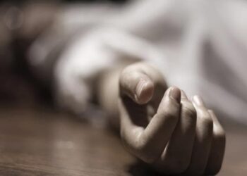 सैनामैनामा ट्रकको ठक्करबाट आमा-छोराको मृत्यु