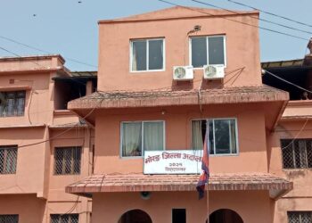 ३८ क्वीन्टल सुन तस्करी मुद्दाको अन्तिम सुनुवाइ आजदेखि