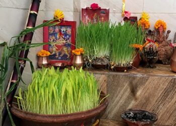 बडादशैँ अन्तर्गत आज सप्तमी तिथि, घरघरमा फूलपाती भित्र्याइँदै