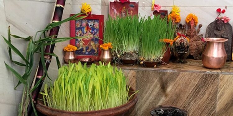 बडादशैँ अन्तर्गत आज सप्तमी तिथि, घरघरमा फूलपाती भित्र्याइँदै