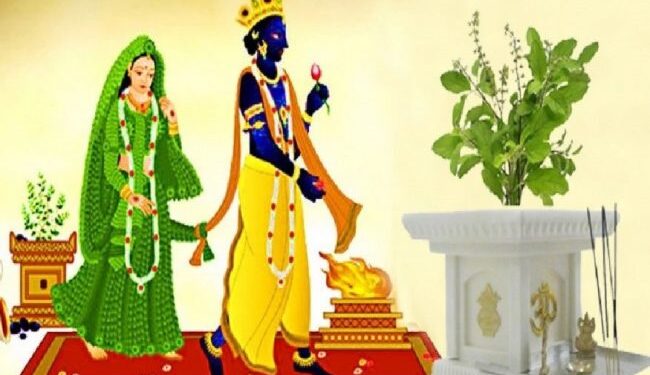 हरिबोधिनी एकादशी : तुलसी दामोदरको विवाह गरी मनाइँदै