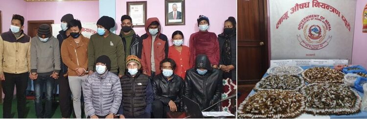 कारागारभित्रै लागुऔषध कारोबारको ‘सेटिङ’, कर्मचारीसहित १७ जना पक्राउ