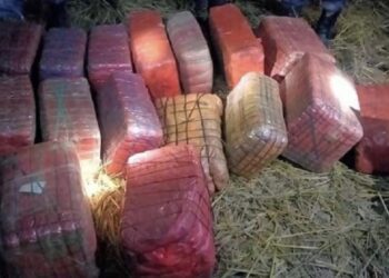 महोत्तरीमा १६० किलो गाँजा बरामद