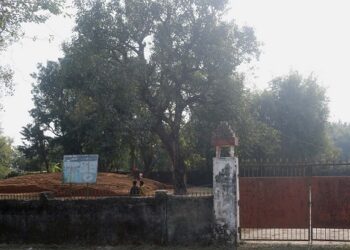 विराट राजाको दरबार उत्खनन्