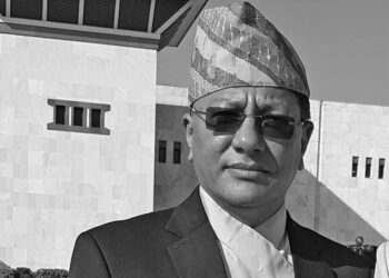 संविधानसभा सदस्य डा. दुमनसिंह थापाको निधन