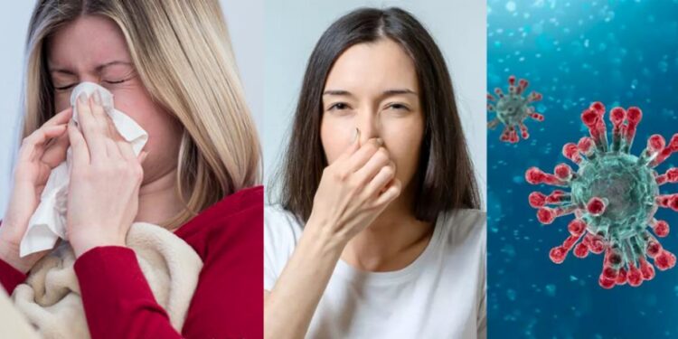 मौसमी रुघाखोकी र कोरोना भाइरस कसरी छुट्याउने ? जानी राखौ यी कुरा