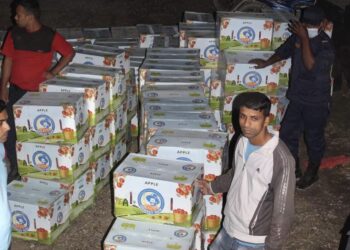 नवलपरासीमा ट्रक सहित ९ लाख भन्दा बढीको स्याउ बरामद