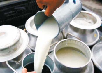 दूधको मूल्य प्रति लिटर ६.५२ रूपैयाँले बढ्यो