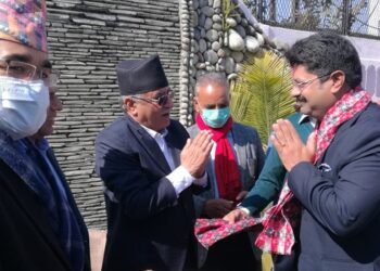 मधेस पहिचान भनेर खुलेका पार्टीहरू ओलीको पुच्छर  – प्रचण्ड
