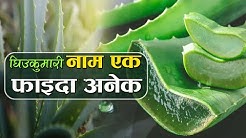 यस्ता छन् घिउकुमारीका फाईदा