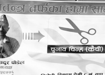 वडाध्यक्षका उम्मेदवारद्वारा आत्महत्या