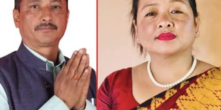गुल्मीदरवार गाउँपालिका अध्यक्ष काँग्रेसका थापा निर्वाचित