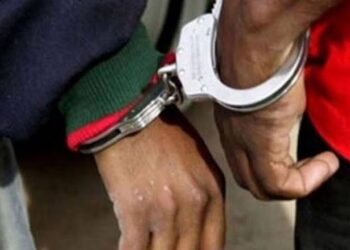 सामूहिक बलात्कारको आरोपमा सात पक्राउ