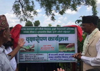 गण्डकी माध्यमिक विधालय त्रिवेणीको आयोजनामा वृक्षारोपण कार्यक्रम