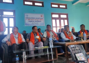 सरकारले निर्माण व्यवसायीको मागलाई सम्बोधन गरे मात्रै बजारमा तरलता सहज हुनेः अध्यक्ष सिंह