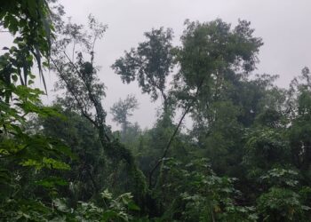 लुम्बिनी र सुदूरपश्चिम प्रदेशमा बाढी पहिरोको जोखिम कायमै