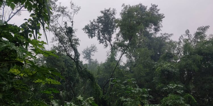 लुम्बिनी र सुदूरपश्चिम प्रदेशमा बाढी पहिरोको जोखिम कायमै