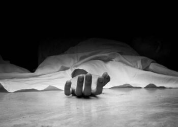 अर्घाखाँचीमा दाजुले गरे भाइको हत्या