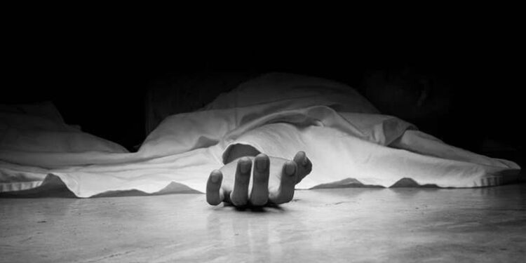 अर्घाखाँचीमा दाजुले गरे भाइको हत्या