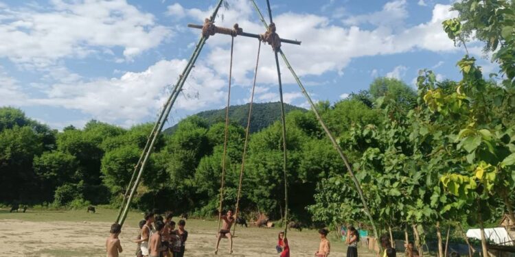 पिङको आकर्षण घट्यो