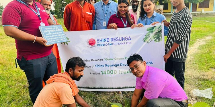 शाइन रेसुङ्गा बंैकको १४ औ बार्षिक उत्वसमा बृक्षारोपण