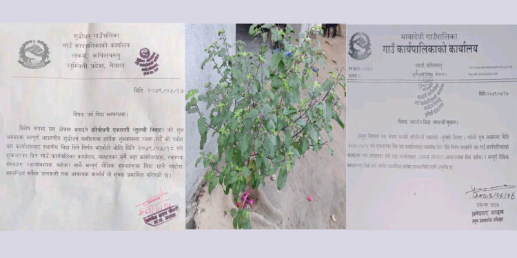 हरिबोधनी एकादशीको अवसरमा शुद्धोधन र मायादेवीमा विदा