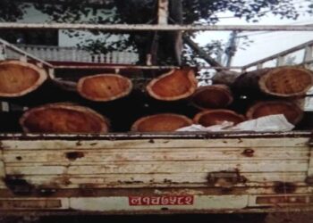 सामुदायिक वनबाट अवैध काठ बरामद