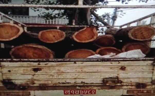 सामुदायिक वनबाट अवैध काठ बरामद