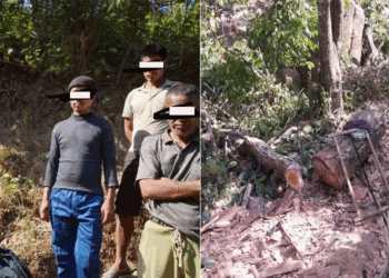अवैध काठसहित दाङमा ४ जना पक्राउ