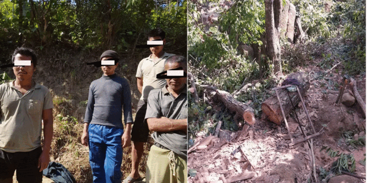 अवैध काठसहित दाङमा ४ जना पक्राउ