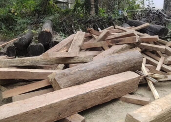 कपिलवस्तुमा ९० क्युफिट काठसहित एक जना पक्राउ