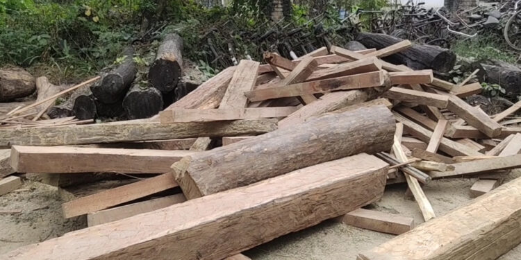 कपिलवस्तुमा ९० क्युफिट काठसहित एक जना पक्राउ