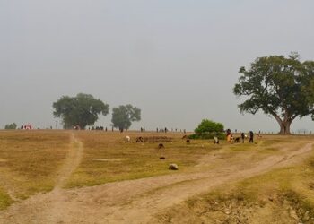 प्राचीन पुरातात्त्विक स्थलको हब सिसहनिया कोट